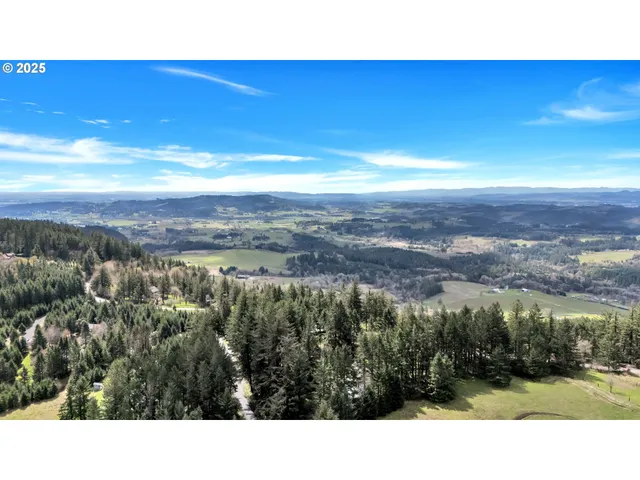 a open area with mountains in the background