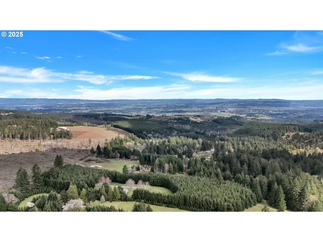 a view of a city with mountains in the background