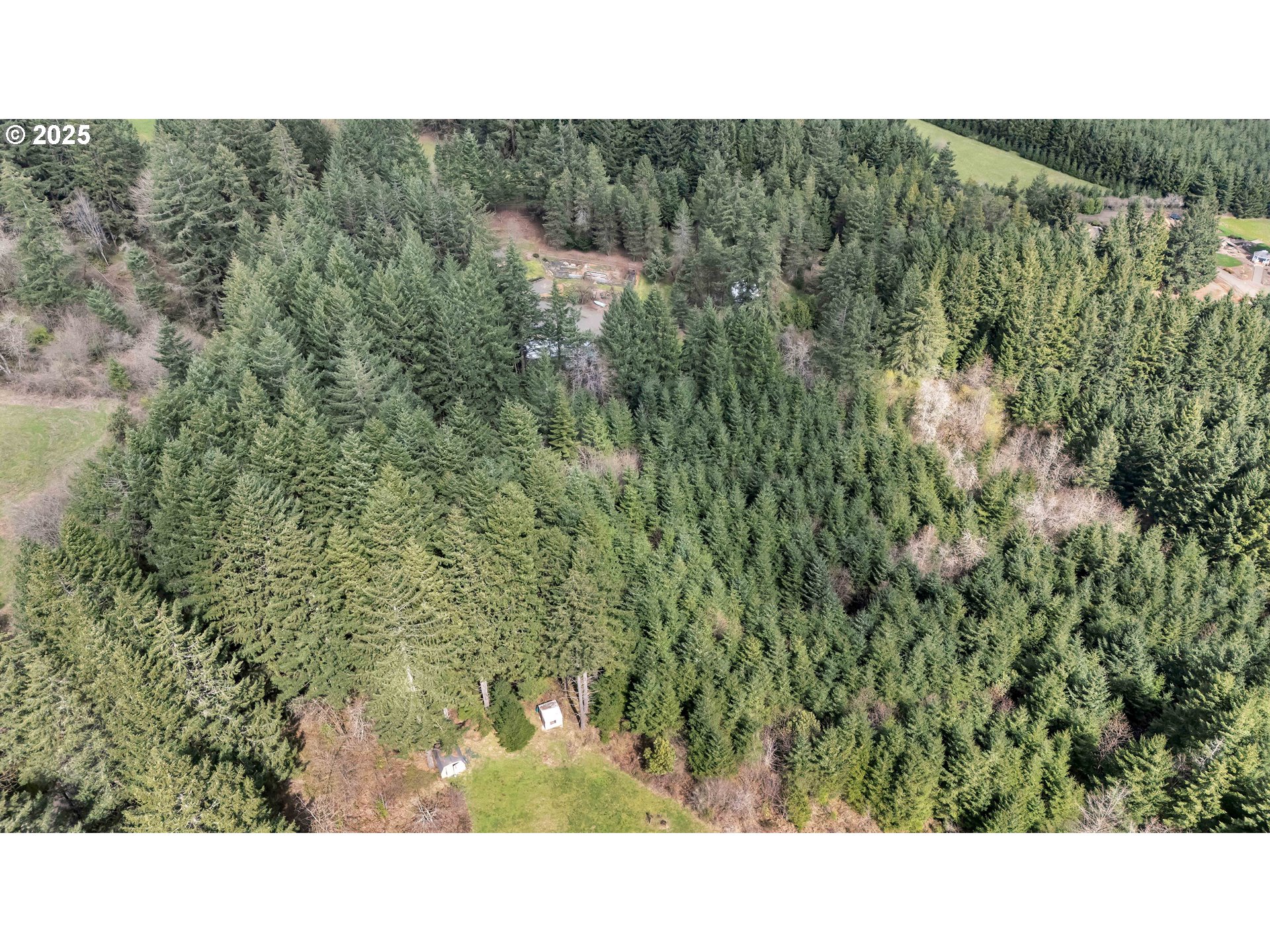 22900 Southwest Holly Hill Road Hillsboro, OR 97123 - Photo 10 of 16 a black and white photo of a forest