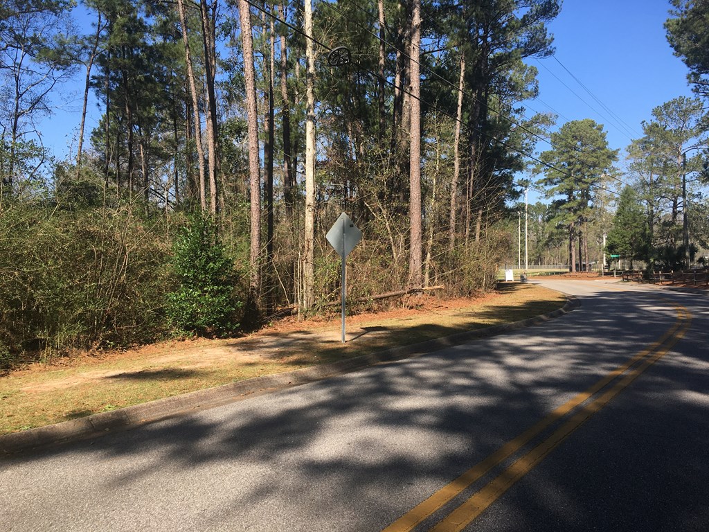 0 Rocky Branch Road Dothan, AL 36303 - Photo 4 of 7