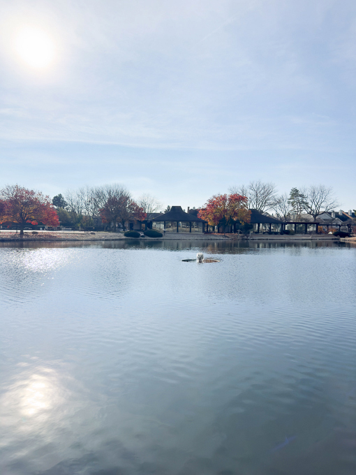 2015 South Finley Road, Unit 812 Lombard, IL 60148 - Photo 4 of 13