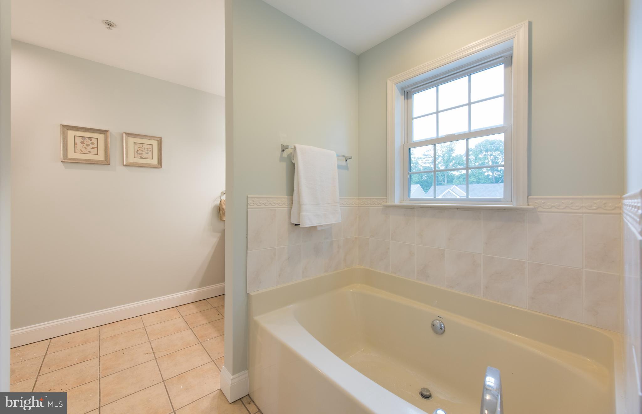 8726 Mission Road Jessup, MD 20794 - Photo 22 of 30 Bath (Master)