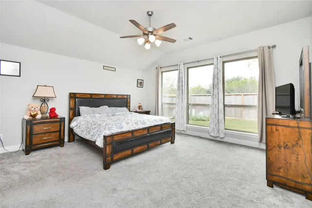 a bedroom with a bed and a tv with the outer view