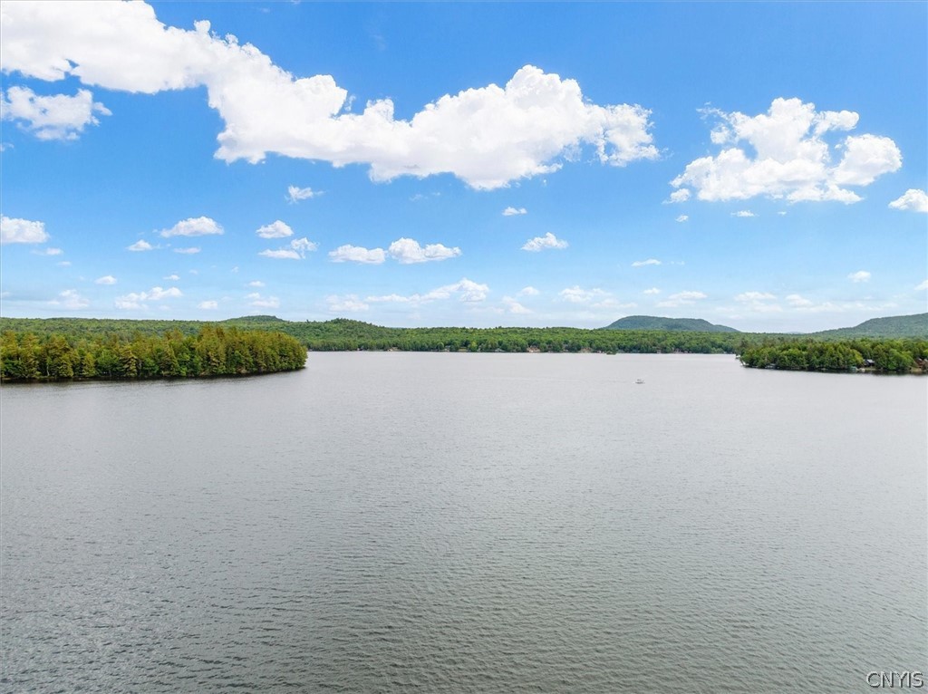 656 Hollywood Road, Unit 15 Webb, NY 13420 - Photo 38 of 50 Beautiful First Lake