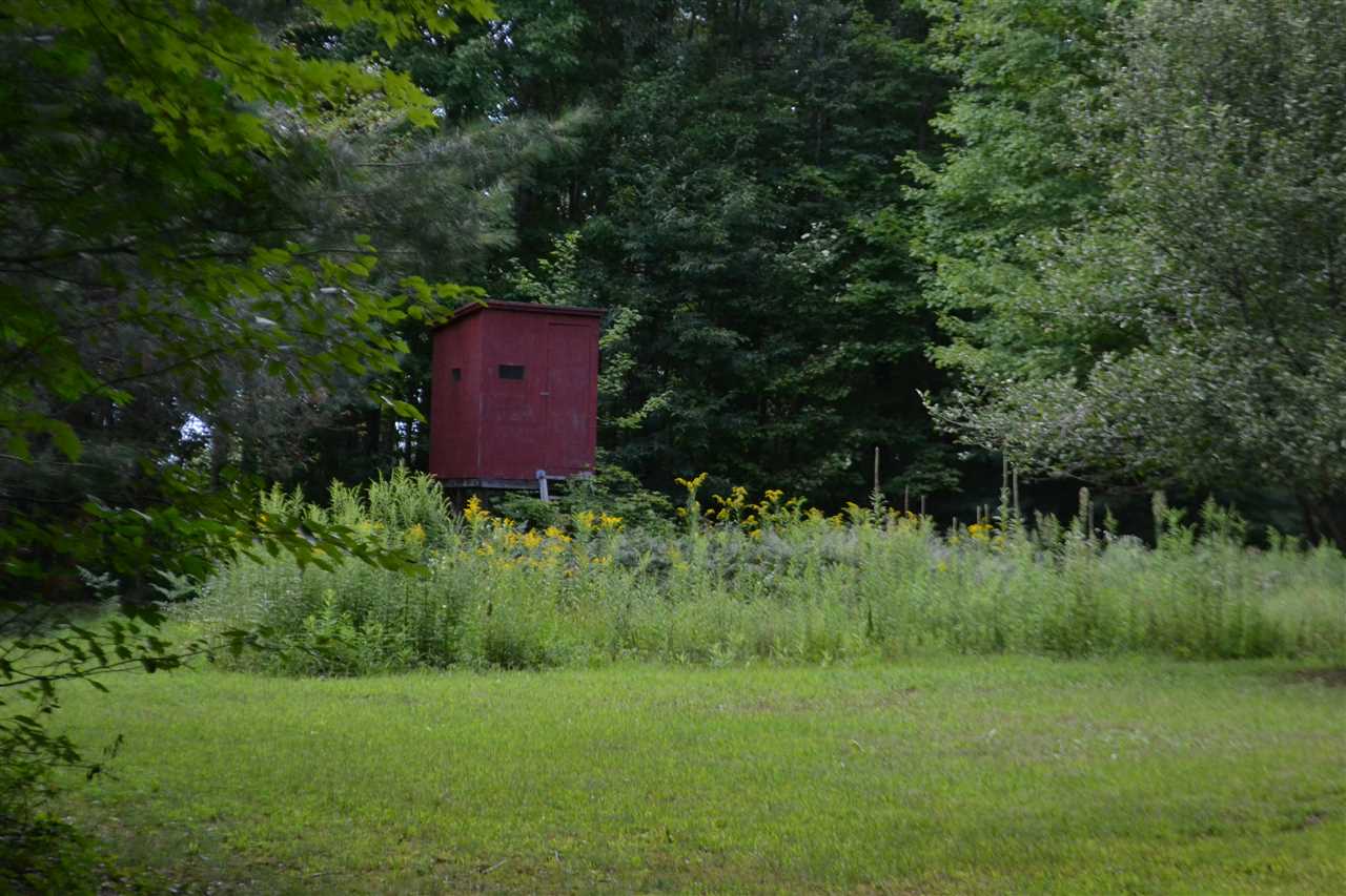 8665 Saunders Road Sterling, MI 48659 - Photo 8 of 45