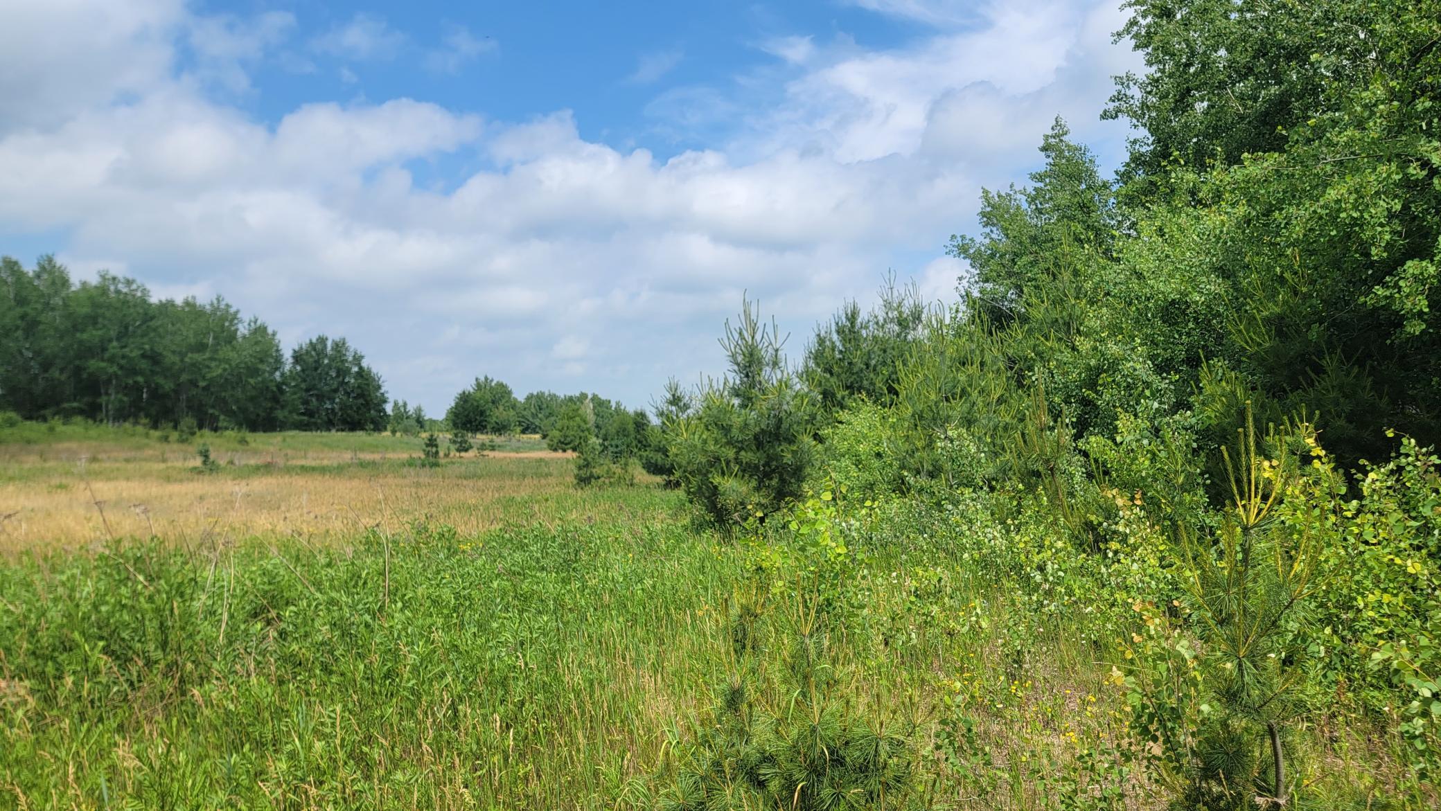 Tbd Linberg Road Deerwood, MN 56444 - Photo 1 of 1 Gallery Image 1