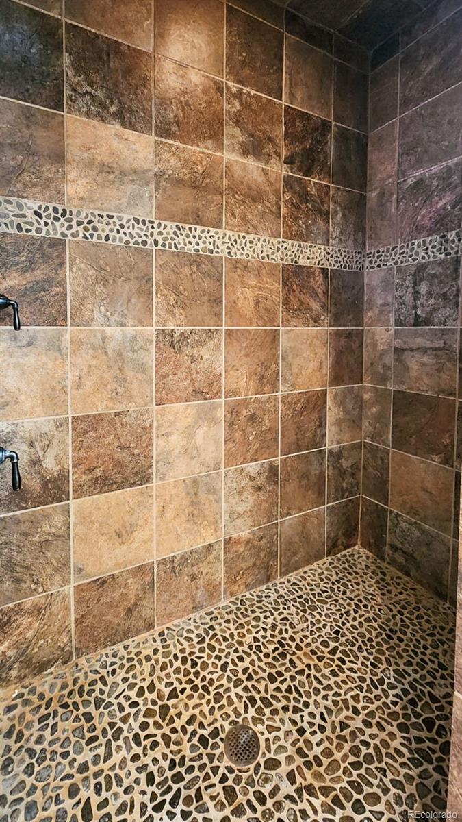 377 Wild Rye Road Fairplay, CO 80440 - Photo 11 of 47 Gallery Image 11