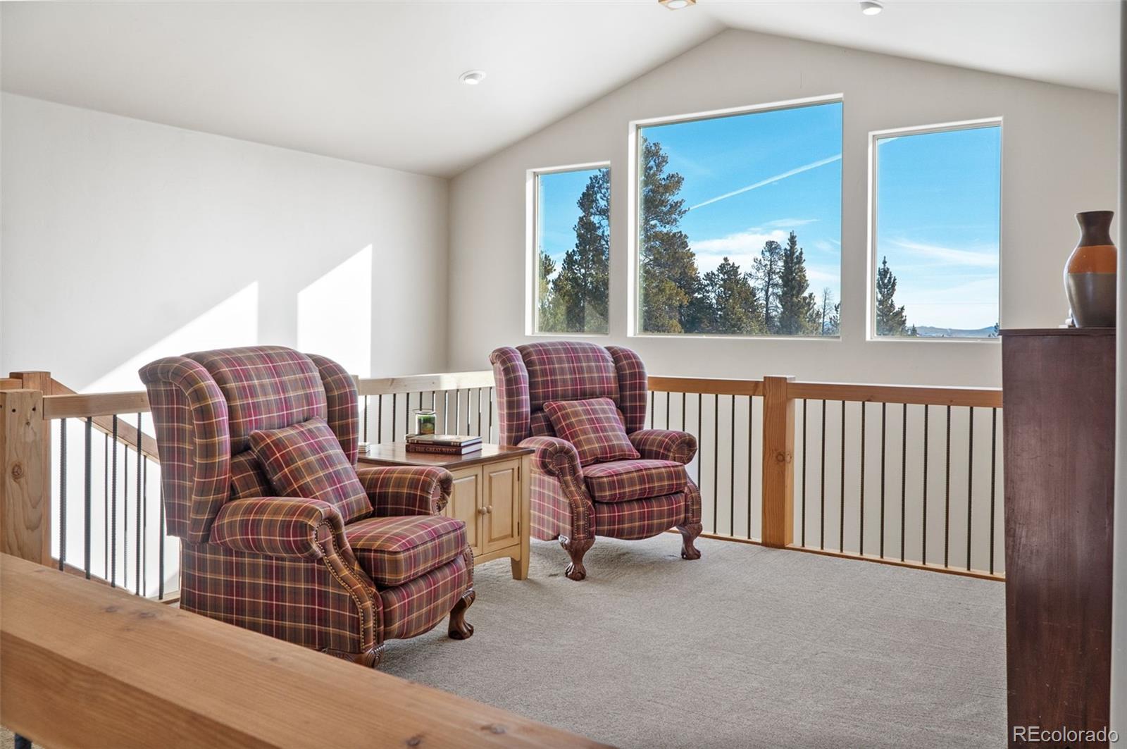 377 Wild Rye Road Fairplay, CO 80440 - Photo 25 of 47 Gallery Image 25
