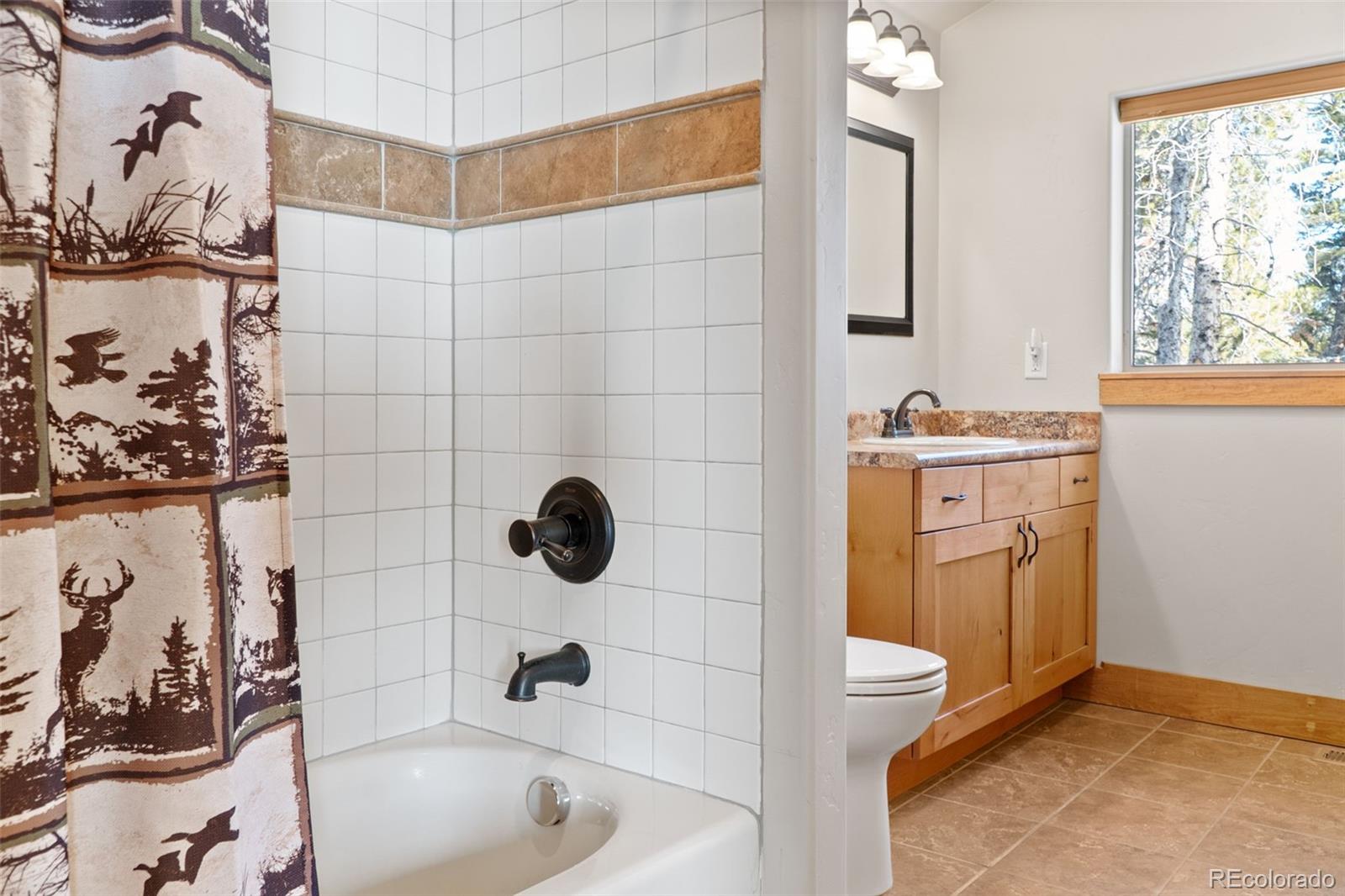 377 Wild Rye Road Fairplay, CO 80440 - Photo 32 of 47 Gallery Image 32