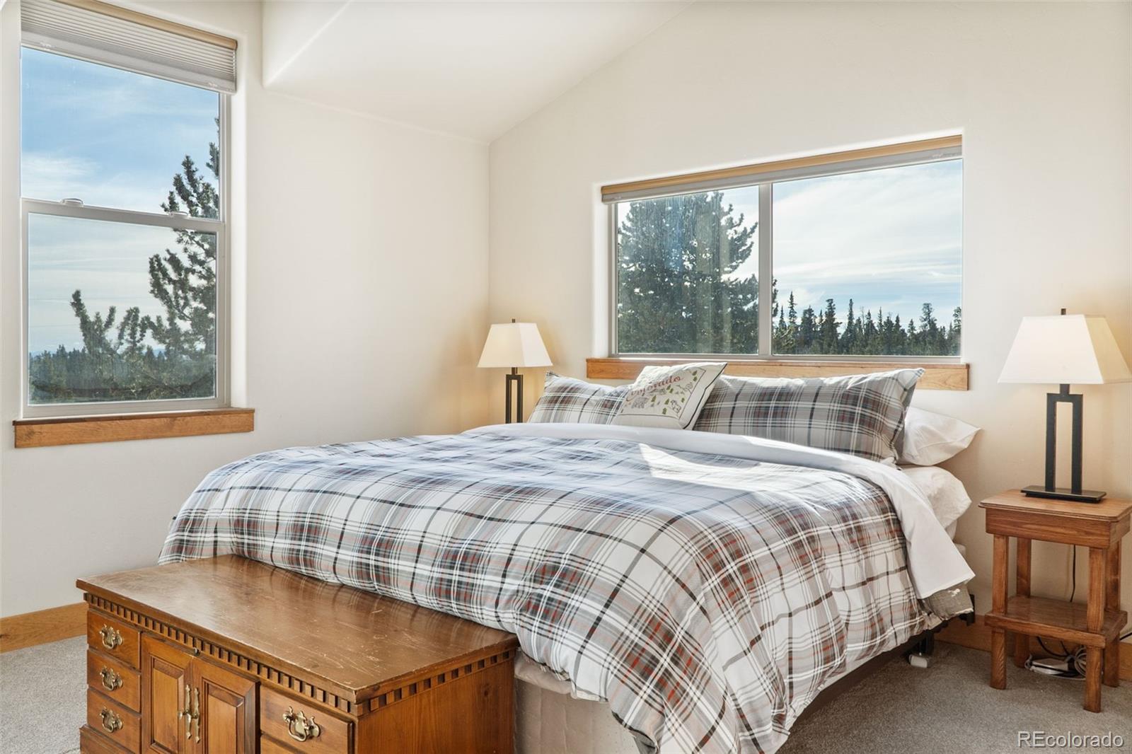 377 Wild Rye Road Fairplay, CO 80440 - Photo 33 of 47 Gallery Image 33
