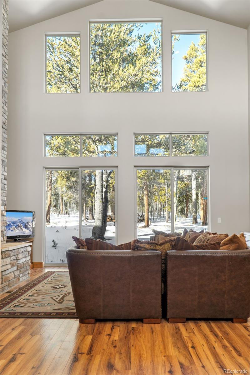 377 Wild Rye Road Fairplay, CO 80440 - Photo 5 of 47 Gallery Image 5