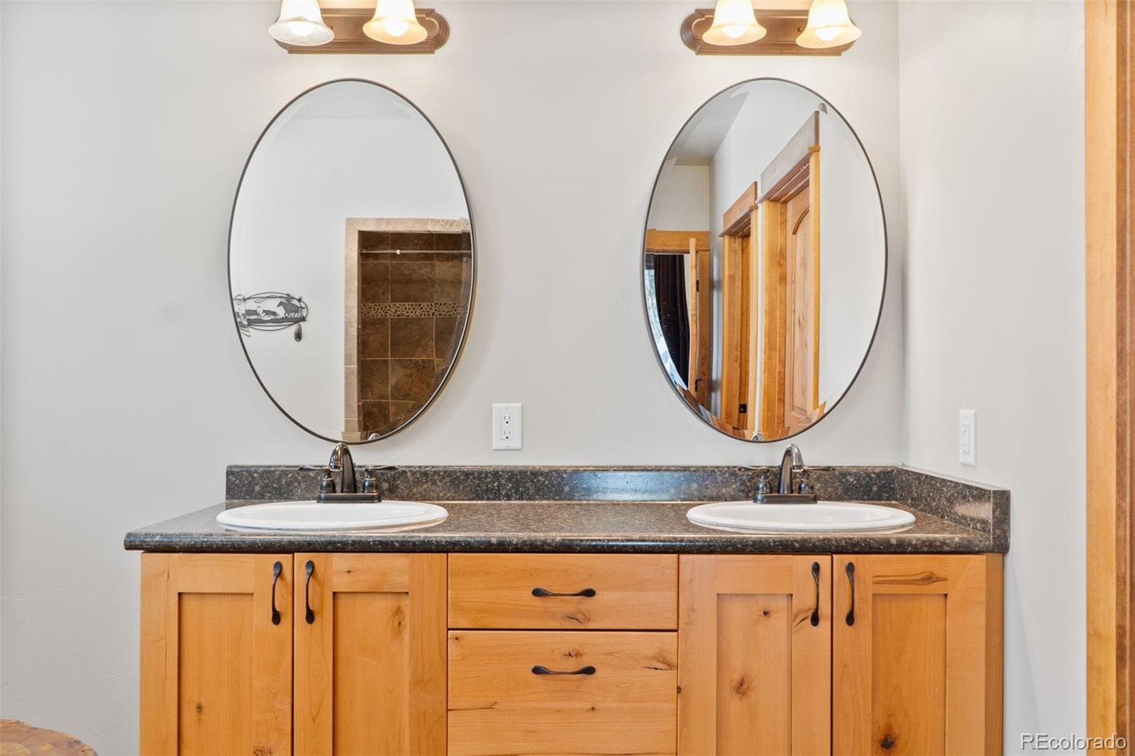 377 Wild Rye Road Fairplay, CO 80440 - Photo 9 of 47 Gallery Image 9
