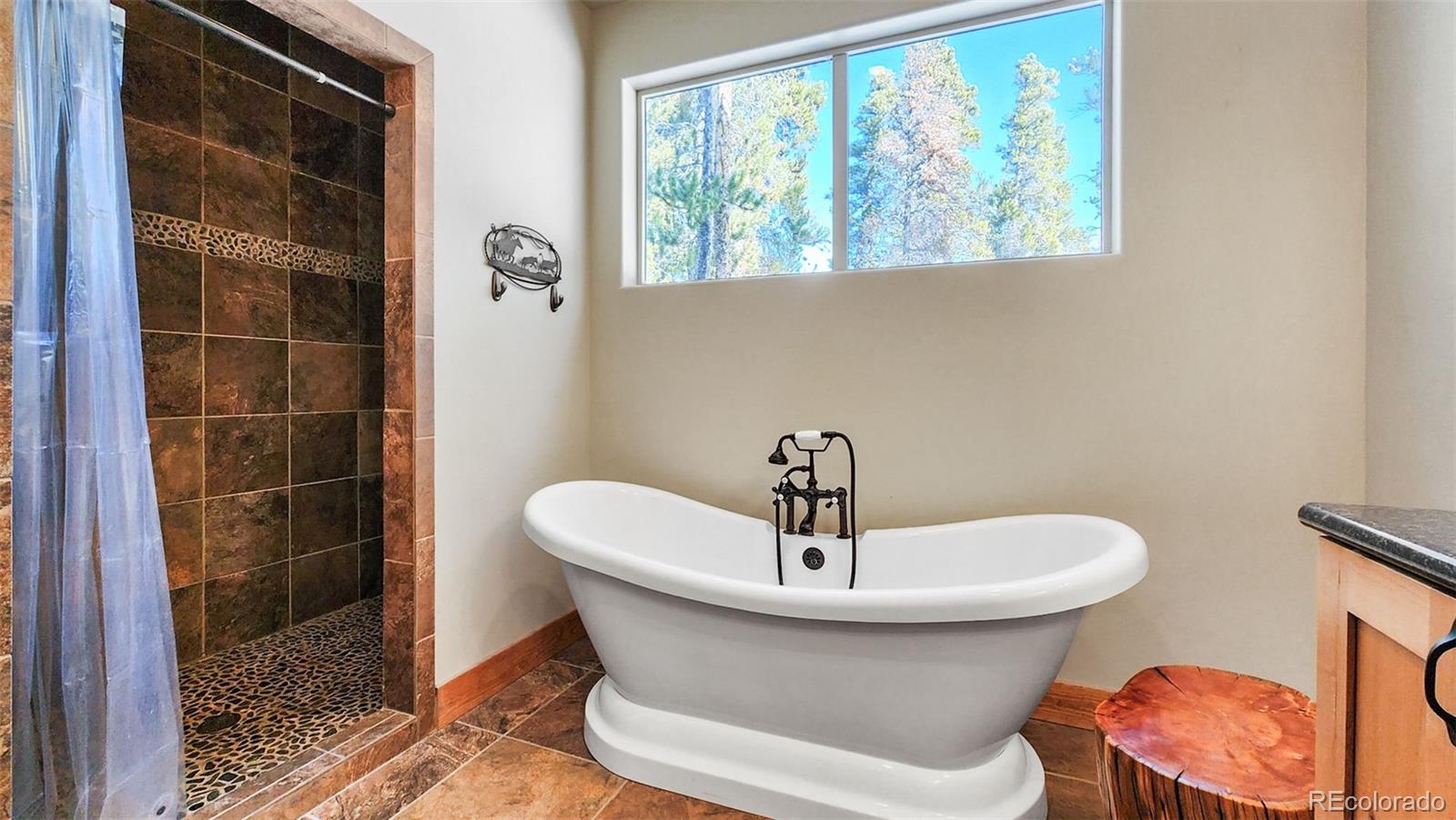 377 Wild Rye Road Fairplay, CO 80440 - Photo 10 of 47 Gallery Image 10
