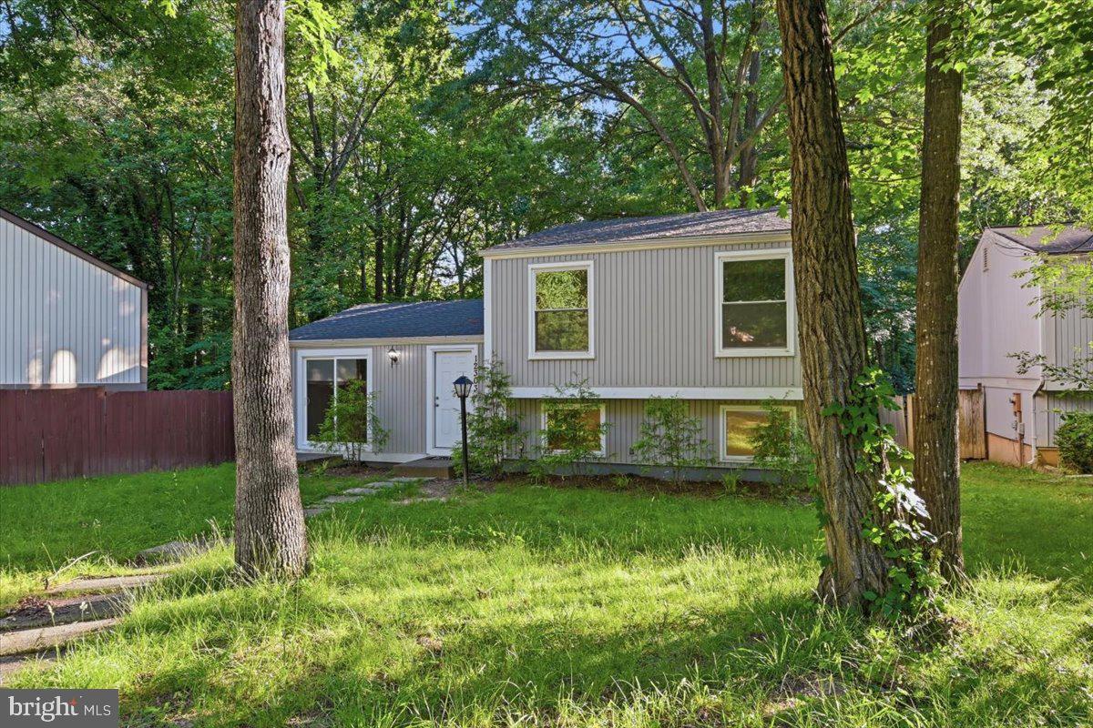 12303 Tigers Eye Court Reston, VA 20191 - Photo 3 of 33