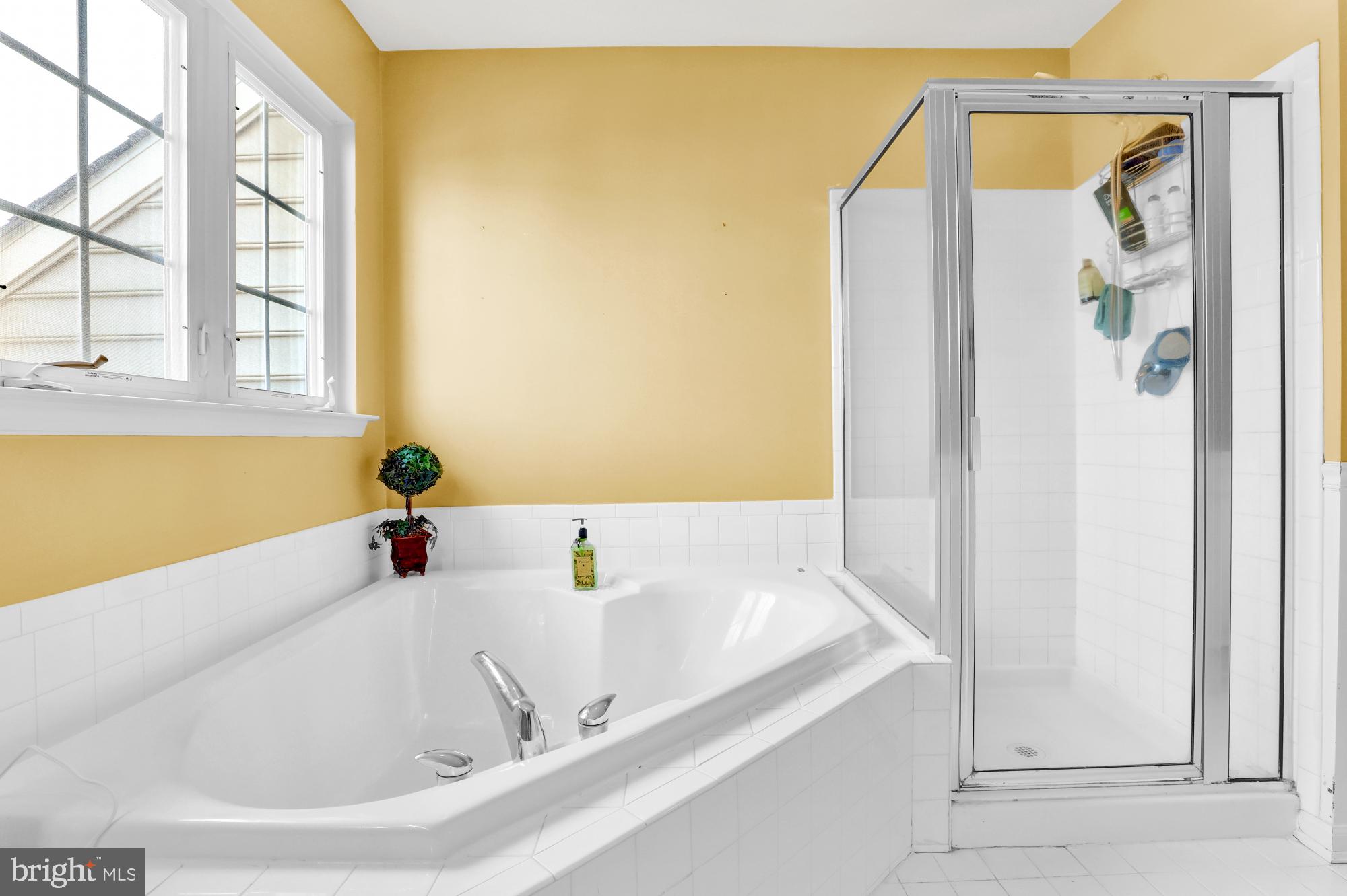 236 Barnhill Road Perkasie, PA 18944 - Photo 19 of 28 Soaking tub & shower