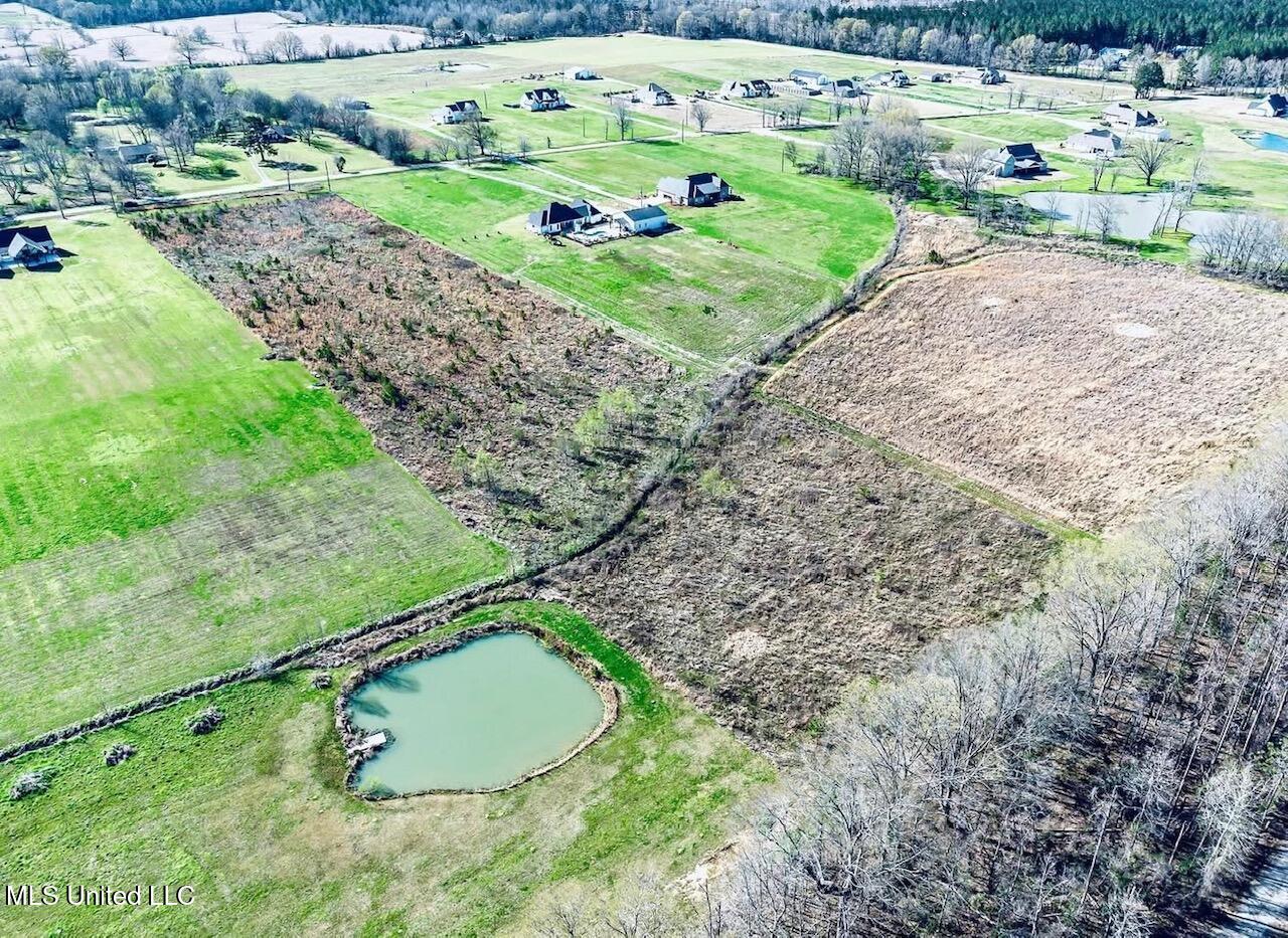 Lot 7 Stump Ridge Road Brandon, MS 39047 - Photo 4 of 4 IMG_2100