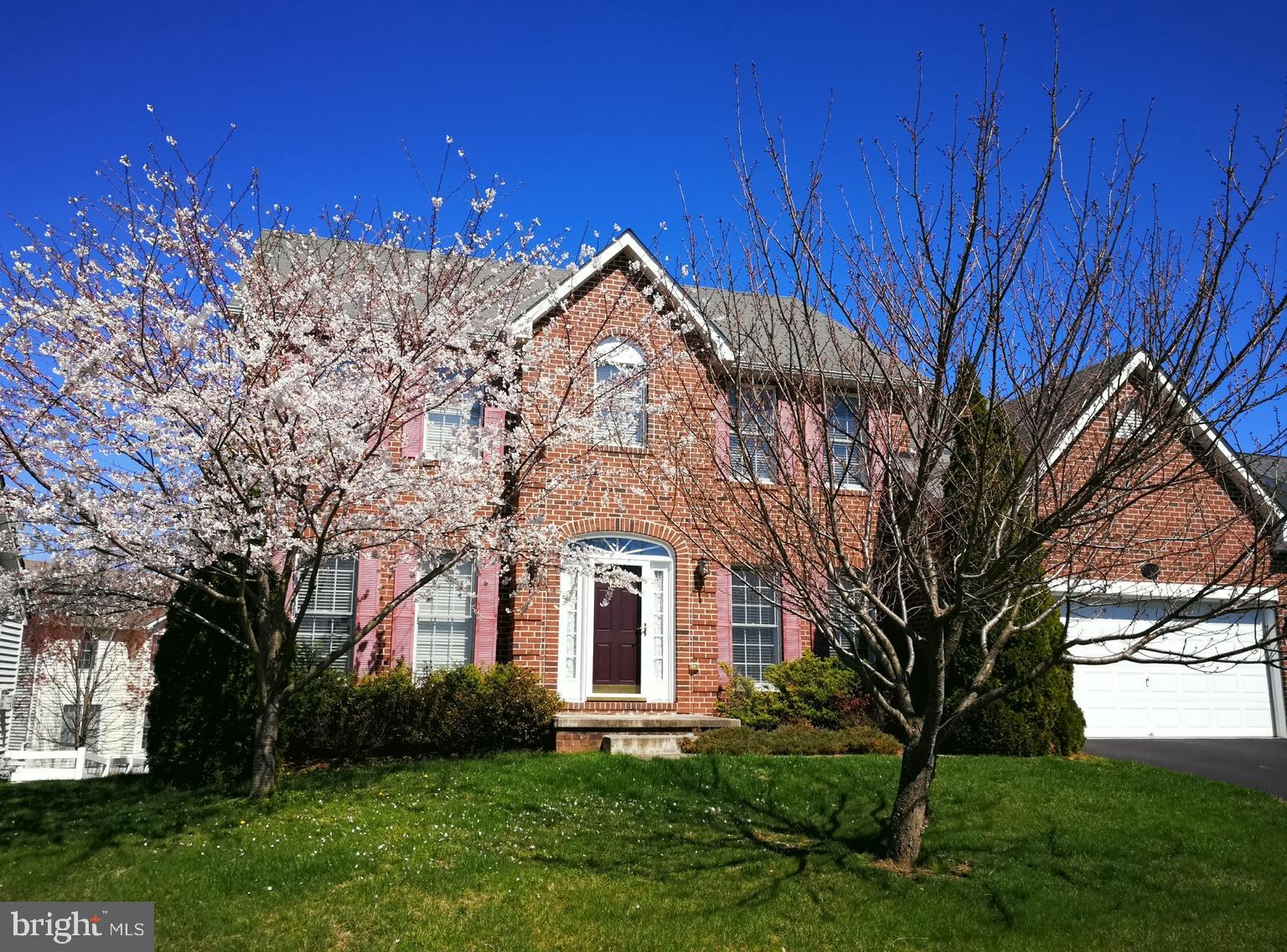 Beautiful flowering trees front and back.