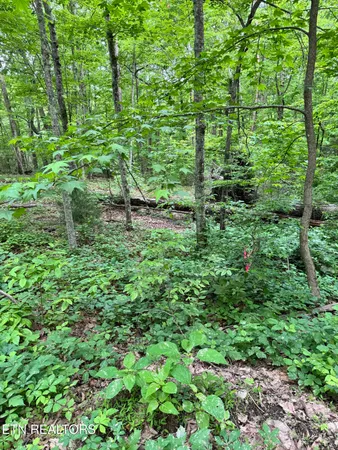 $109,000 | Sunset Lane, Unit 3, Seymour, TN 37865