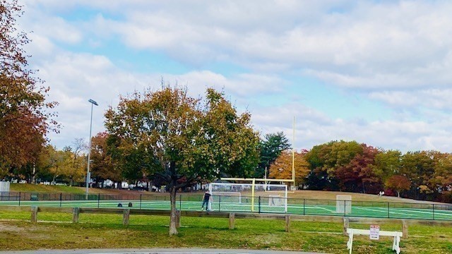 2 Touraine Street Worcester, MA 01604 - Photo 33 of 34 a view of a big yard with large trees