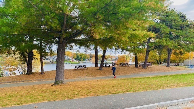 2 Touraine Street Worcester, MA 01604 - Photo 34 of 34 a view of a yard with a tree
