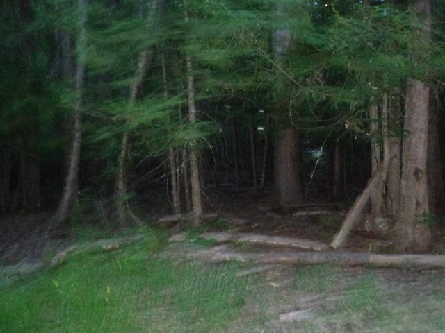 271-tbd Jacknife Lookout Road Kettle Falls, WA 99141 - Photo 3 of 9 Gallery Image 3