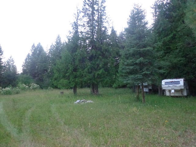 271-tbd Jacknife Lookout Road Kettle Falls, WA 99141 - Photo 4 of 9 Gallery Image 4