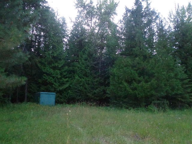 271-tbd Jacknife Lookout Road Kettle Falls, WA 99141 - Photo 6 of 9 Gallery Image 6