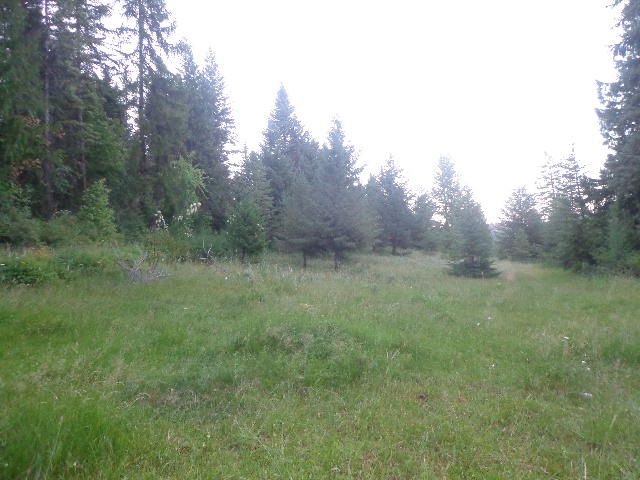 271-tbd Jacknife Lookout Road Kettle Falls, WA 99141 - Photo 9 of 9 Gallery Image 9