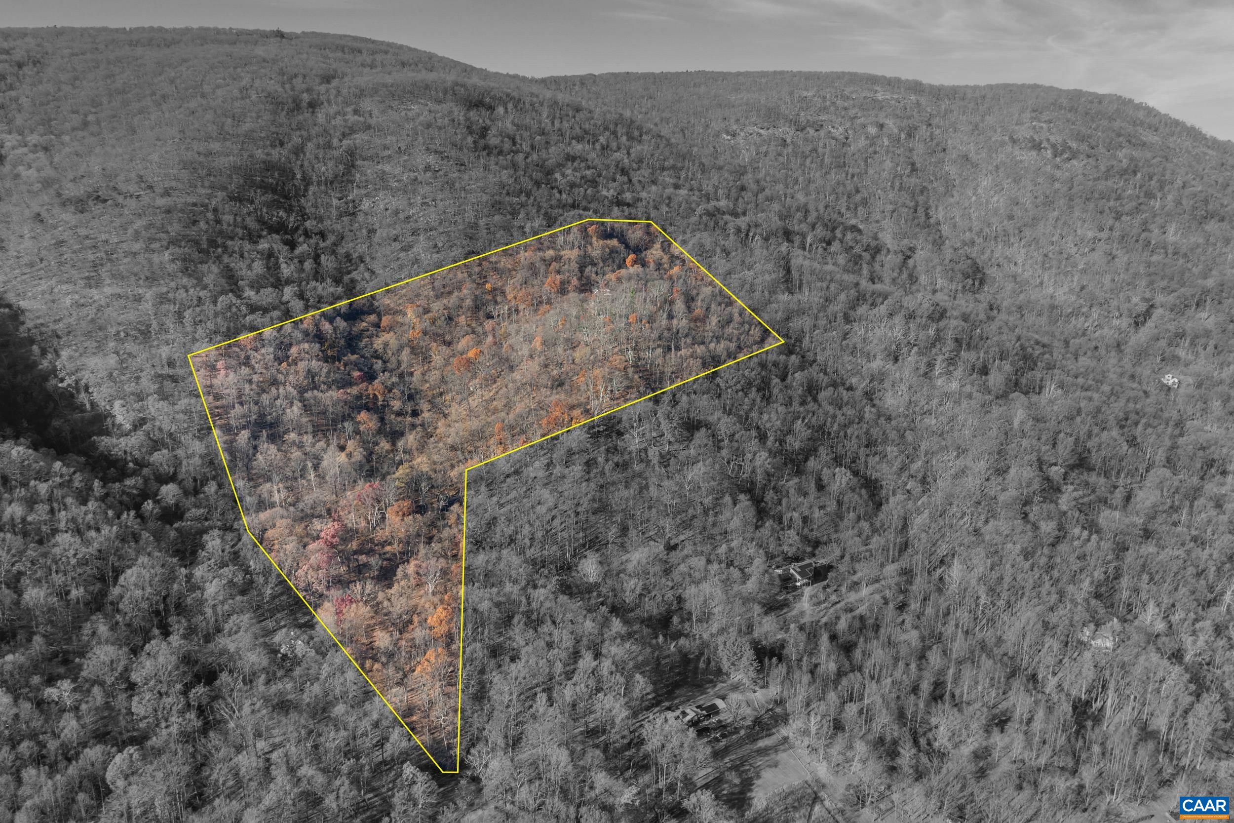 6696 Highlander Way Crozet, VA 22932 - Photo 67 of 71 42 acres!