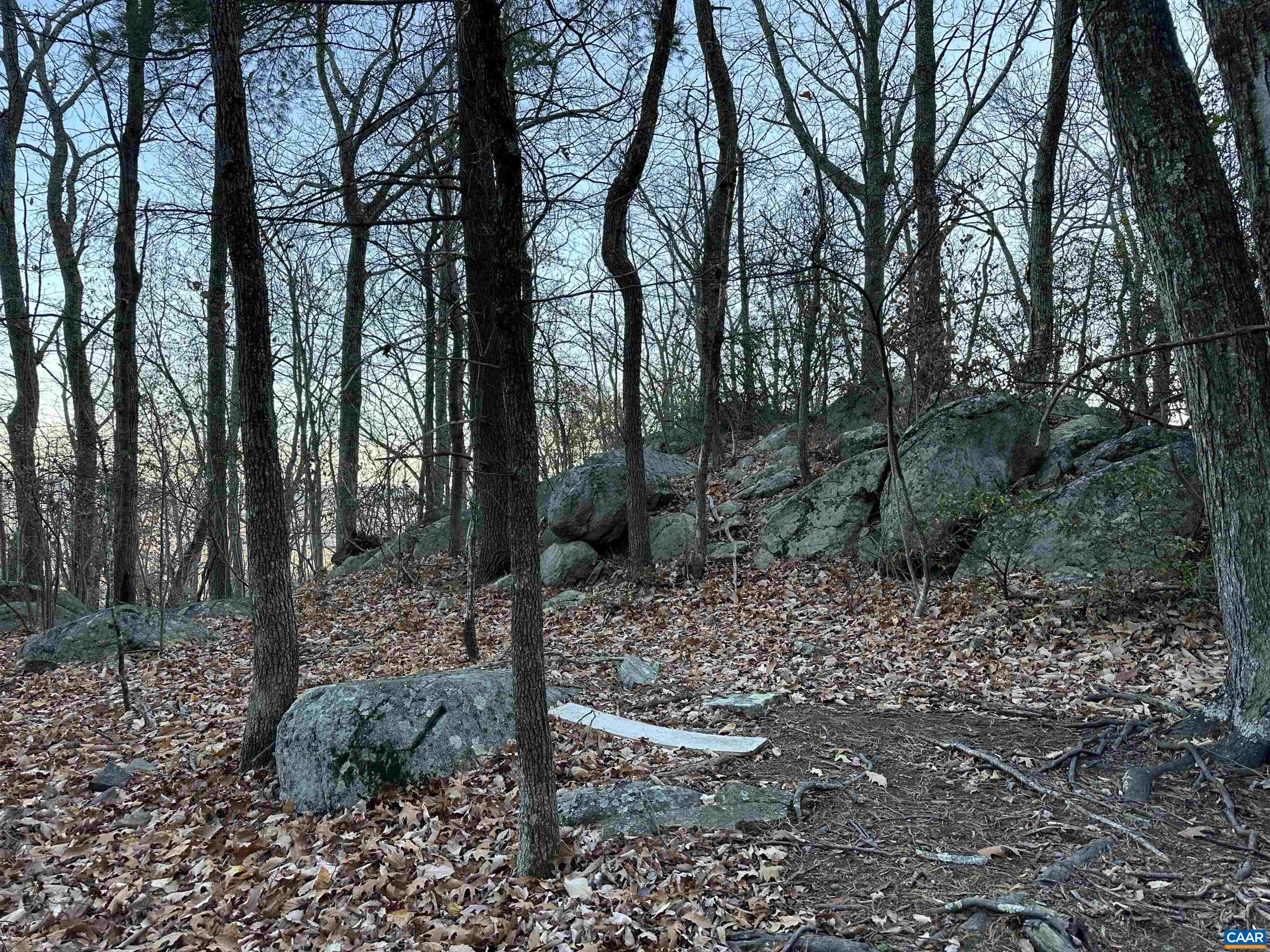 6696 Highlander Way Crozet, VA 22932 - Photo 70 of 71 a view of a forest filled with trees
