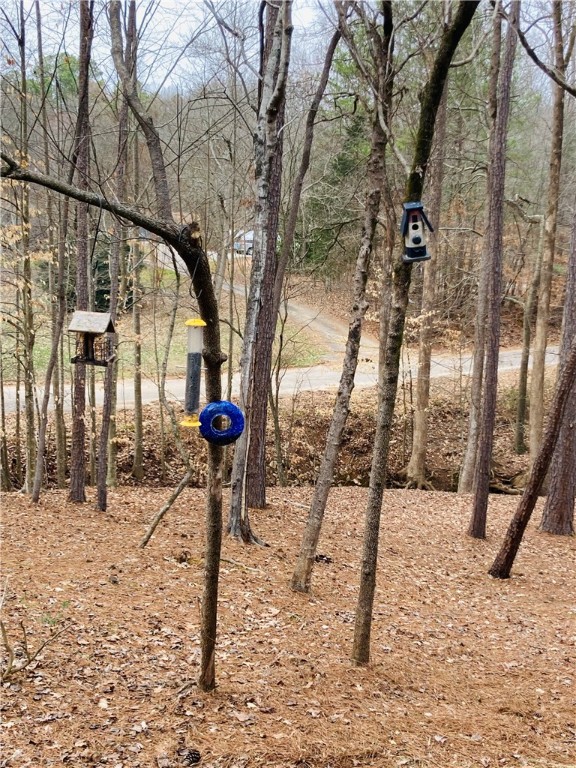 620 Lands End Seneca, SC 29678 - Photo 34 of 48 Gallery Image 34