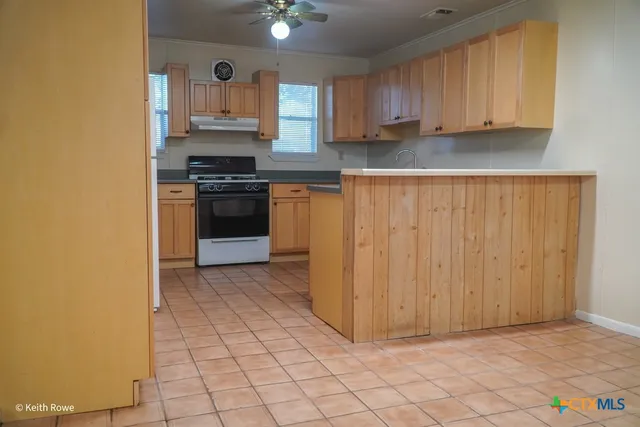 a view of a tree in the middle of a yard