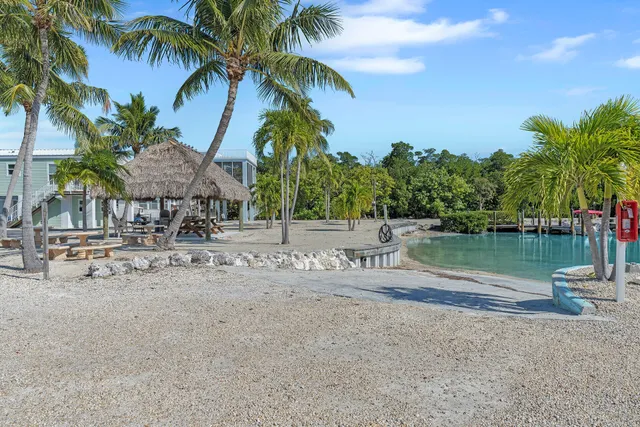 a view of a lake with a yard and palm trees