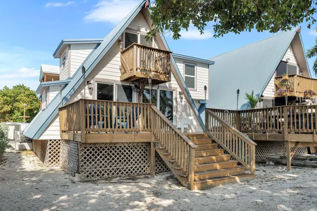 a view of a dry yard with palm trees