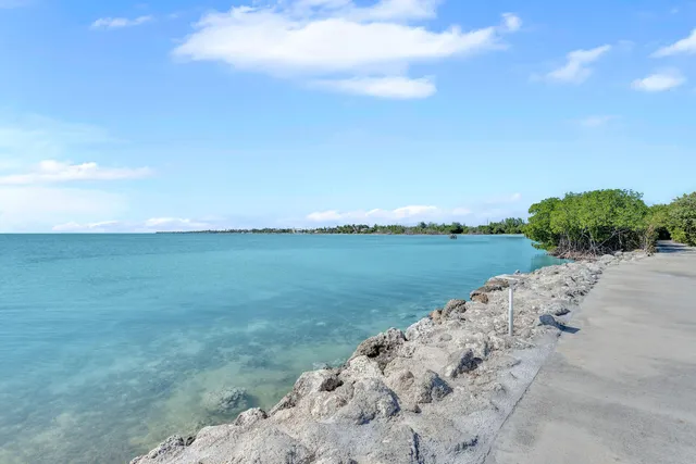 a view of a swimming pool with a chair and tables