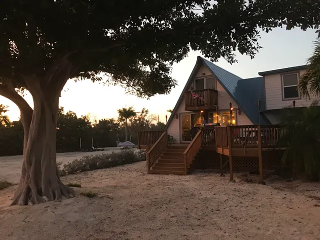 a view of a pathway both side of yard