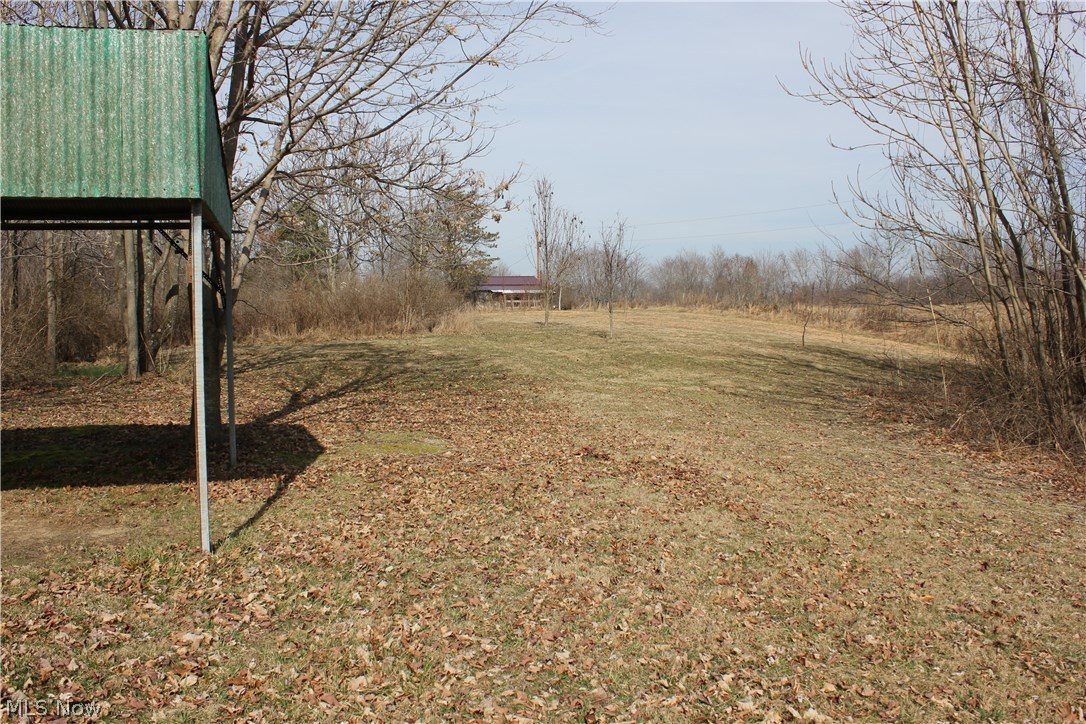 74782 Science Hill Road Kimbolton, OH 43749 - Photo 8 of 26 Level Back yard-Great Building site