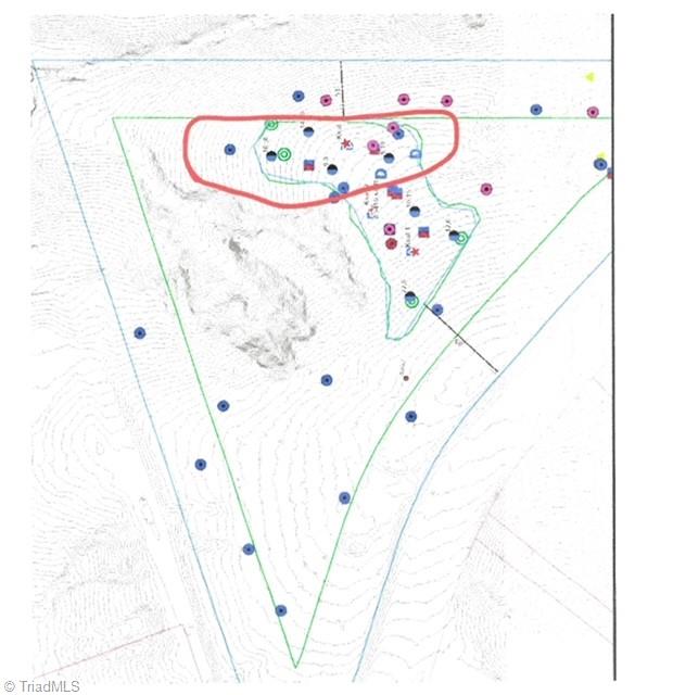 9417 Pumpkin Ridge Road Kernersville, NC 27284 - Photo 3 of 7