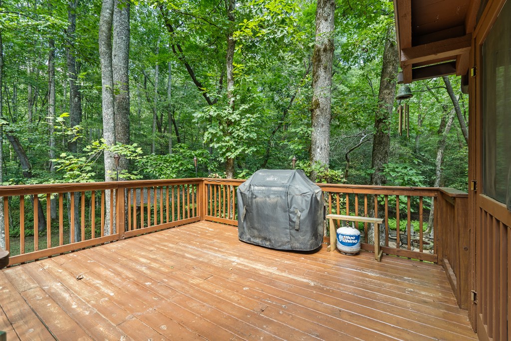 136 Honeysuckle Way Blue Ridge, GA 30513 - Photo 31 of 35