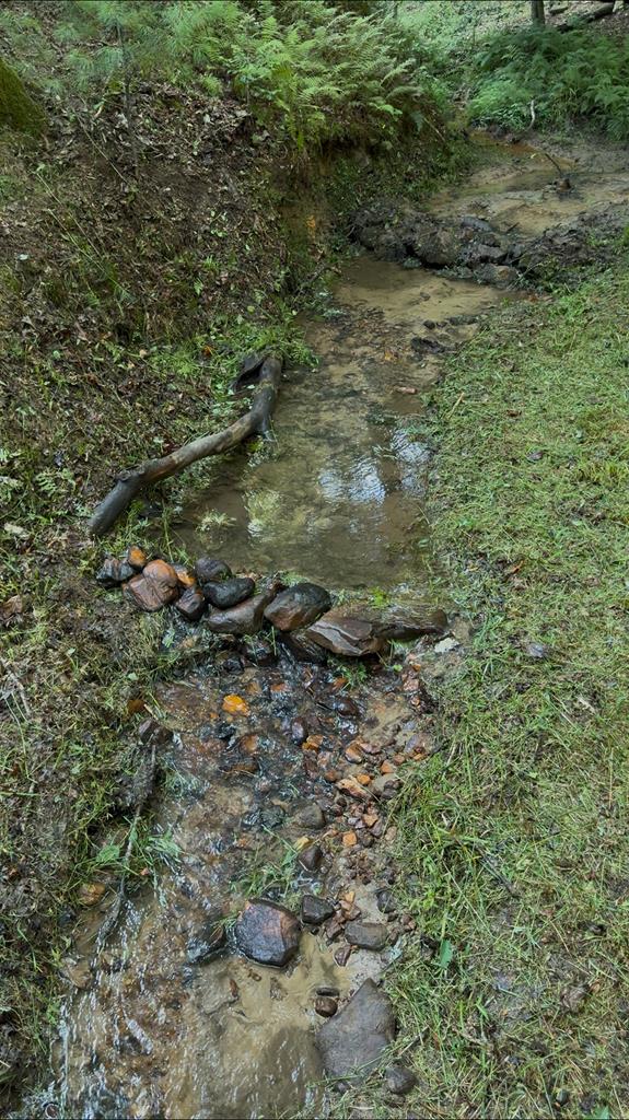 136 Honeysuckle Way Blue Ridge, GA 30513 - Photo 35 of 35