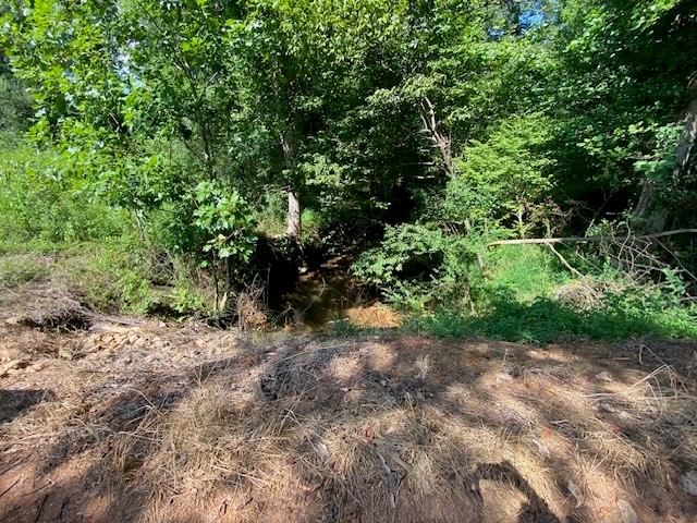 695 Crump Mill Road Martin, GA 30557 - Photo 12 of 26 a view of a forest with trees