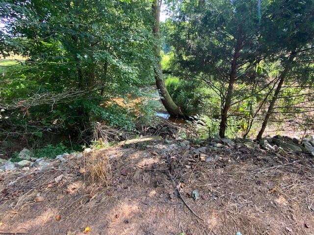 695 Crump Mill Road Martin, GA 30557 - Photo 13 of 26 a view of a yard with plants and a large tree