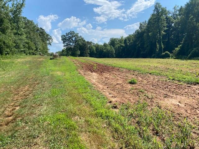 695 Crump Mill Road Martin, GA 30557 - Photo 15 of 26 a view of a grassy field with trees in the background