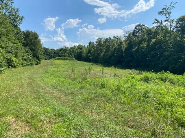 695 Crump Mill Road Martin, GA 30557 - Photo 16 of 26 a view of outdoor space and yard