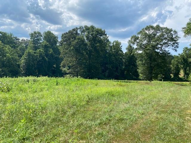 695 Crump Mill Road Martin, GA 30557 - Photo 17 of 26 a view of outdoor space and yard