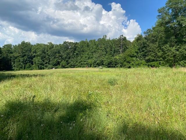 695 Crump Mill Road Martin, GA 30557 - Photo 19 of 26