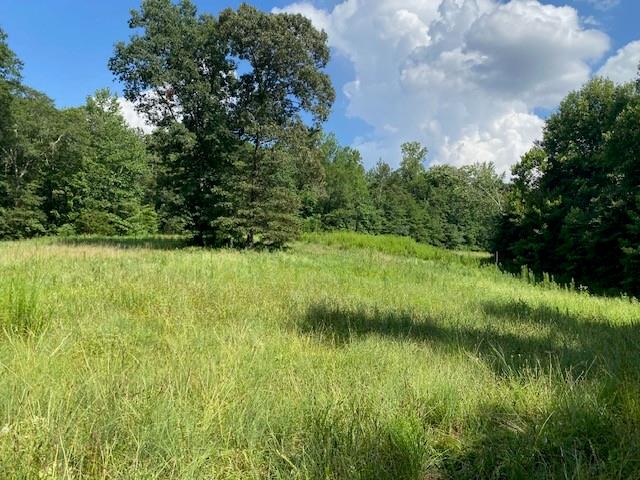695 Crump Mill Road Martin, GA 30557 - Photo 20 of 26 a view of a lake view with a garden