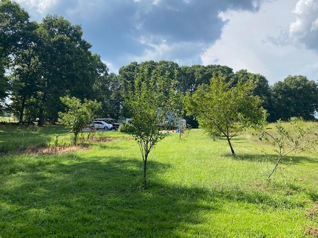 695 Crump Mill Road Martin, GA 30557 - Photo 22 of 26 a view of garden