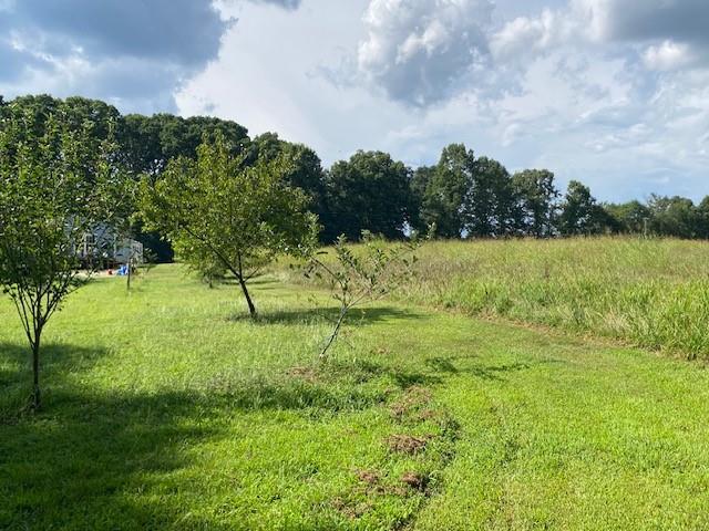 695 Crump Mill Road Martin, GA 30557 - Photo 23 of 26 a view of a garden
