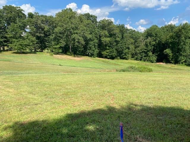 695 Crump Mill Road Martin, GA 30557 - Photo 3 of 26 a view of a field with an outdoor space